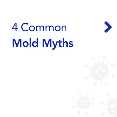 4-common-mold-myths-carousel-1