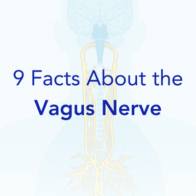 9 Vagus Nerve Facts ig square 1