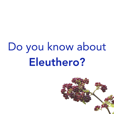 Eleuthero facts IG carousel 1