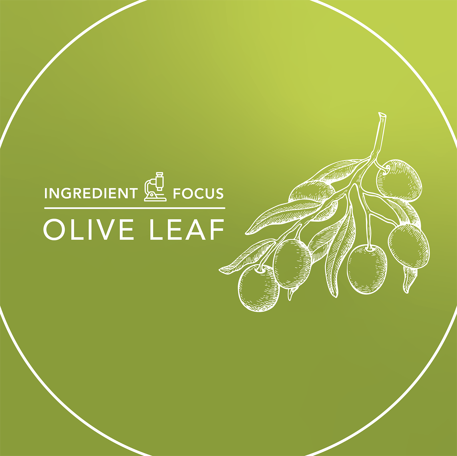 Instagram_FB Posts – October – Olivirex v2-10.24
