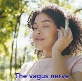 vagus-nerve